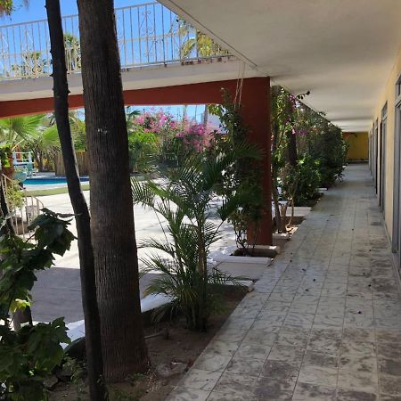Hotel Calafia 라파스 외부 사진
